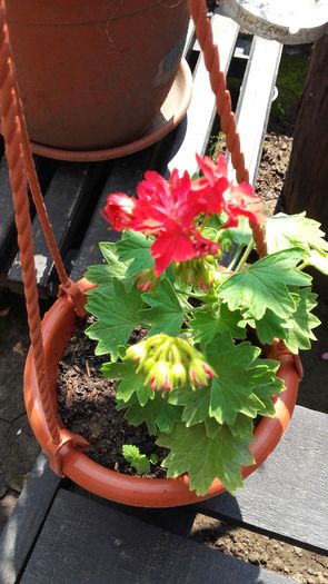 20160603_105427