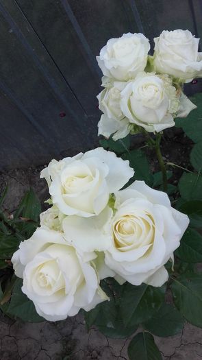 20160602_171302