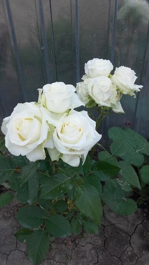 20160602_171307