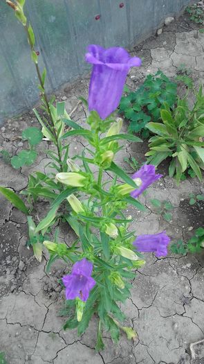 20160602_171313
