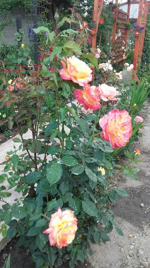 20160602_171325