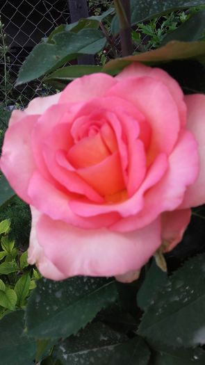 20160602_171416