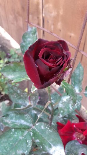 20160602_171630