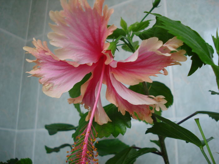 DSC05569