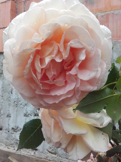 20160604_105935 - Abraham Darby