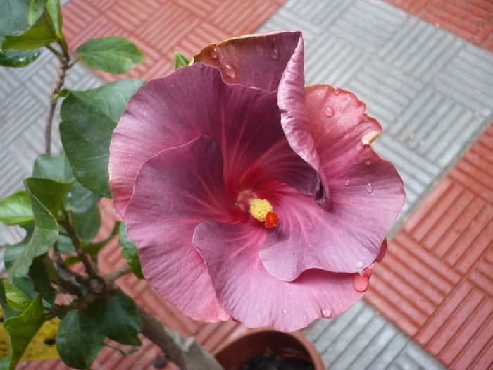 P1270041