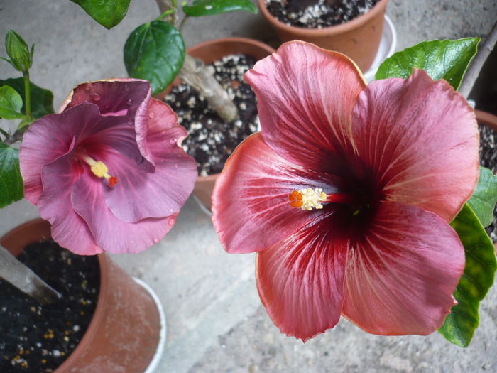 P1270043