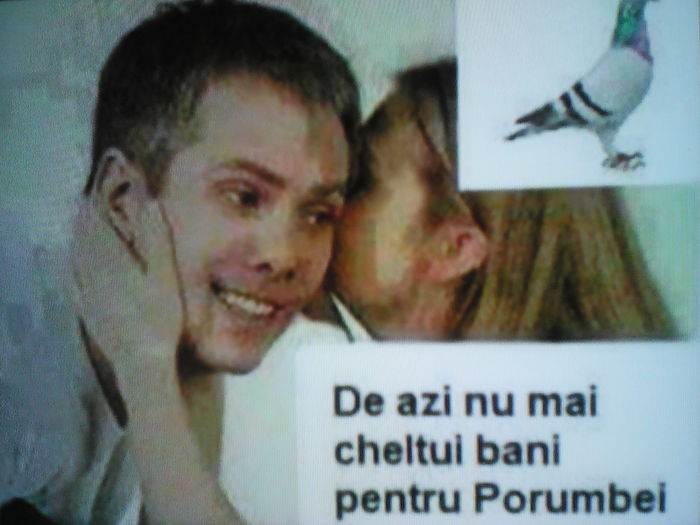 IMG_20160604_064627 - SELECTIV