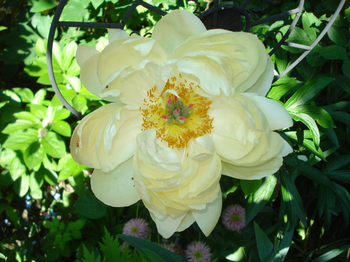 DSC02330