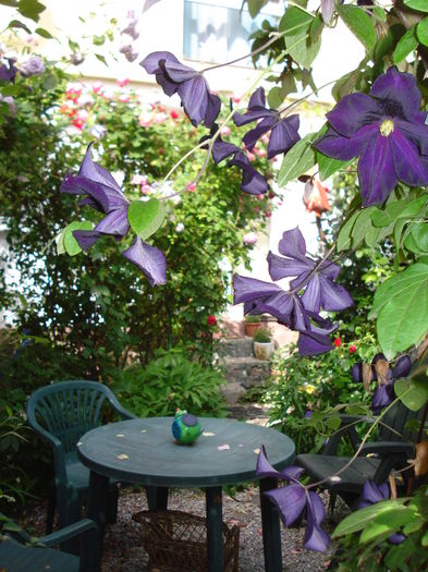 DSC02605