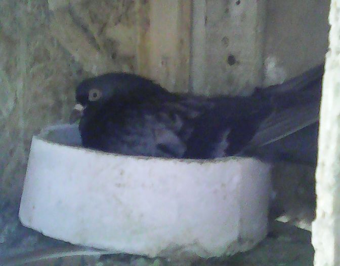 IMG_20160603_132548_722