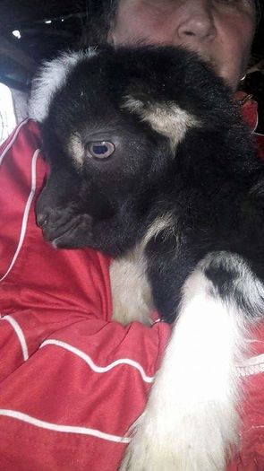 received_966704143416184; Iedut
