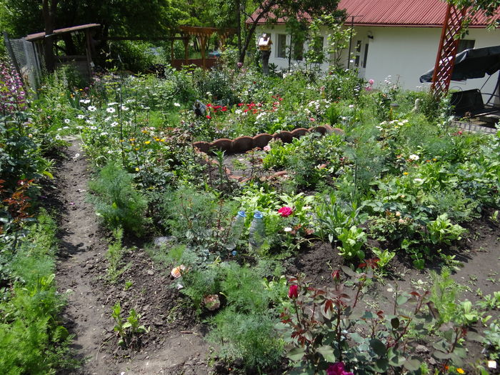 Celebrity garden
