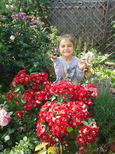 005 - GRADINA MEA inceputuri