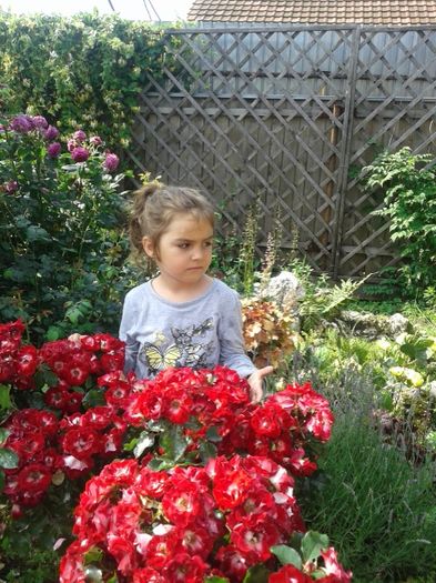 008 - GRADINA MEA inceputuri