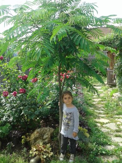 024 - GRADINA MEA inceputuri