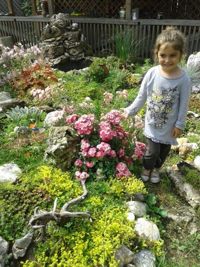 026 - GRADINA MEA inceputuri