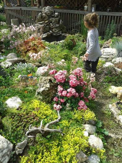 027 - GRADINA MEA inceputuri