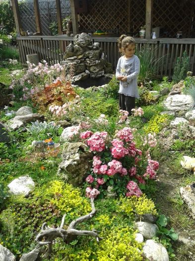 028 - GRADINA MEA inceputuri