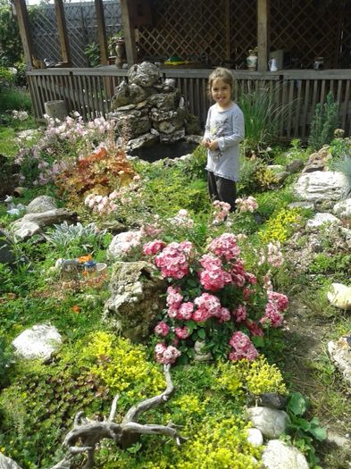 029 - GRADINA MEA inceputuri