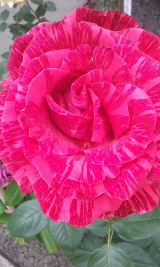 092