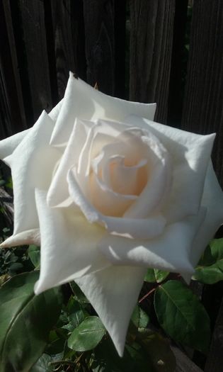 084