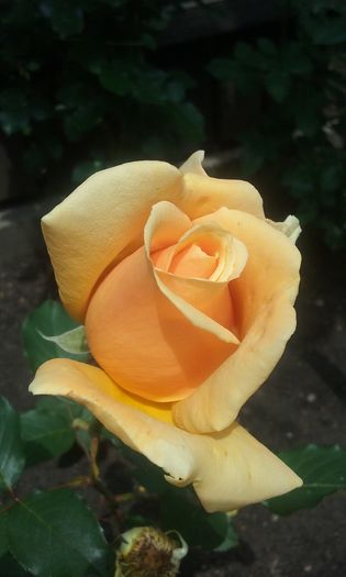 042