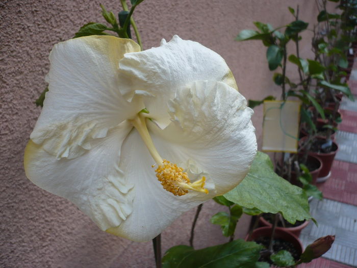 P1270060