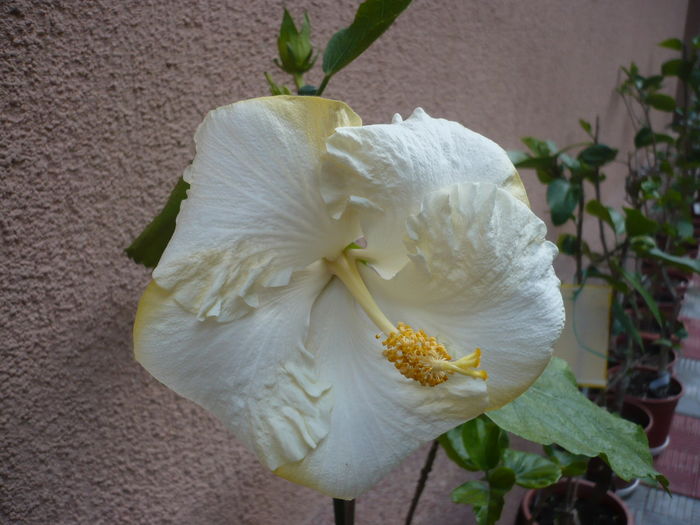 P1270061