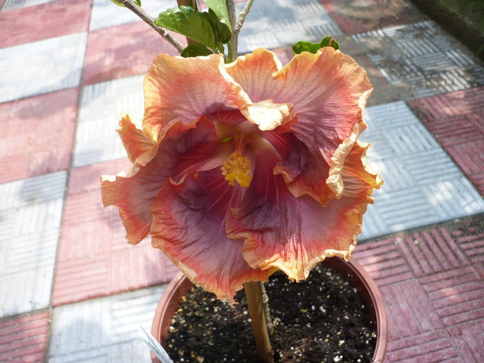 P1270084