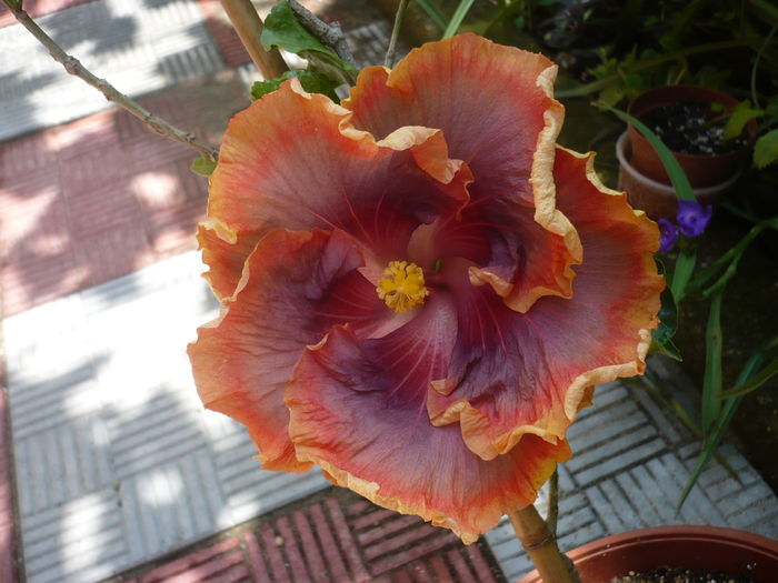P1270088