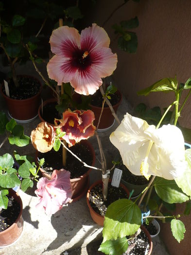 P1270076