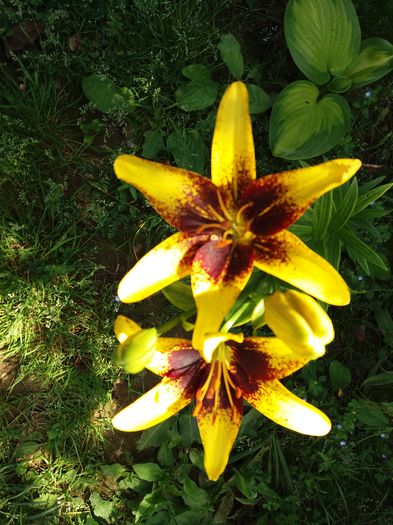 20160605_120144 - CRINI