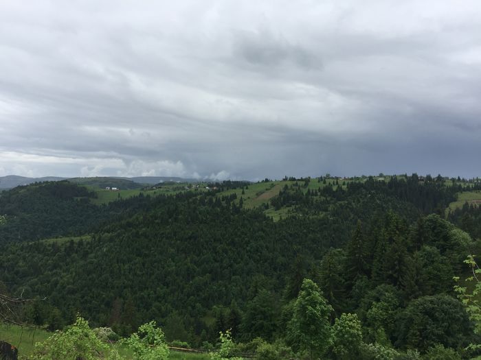 image - Natura-marisel-belis