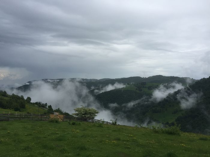 image - Natura-marisel-belis