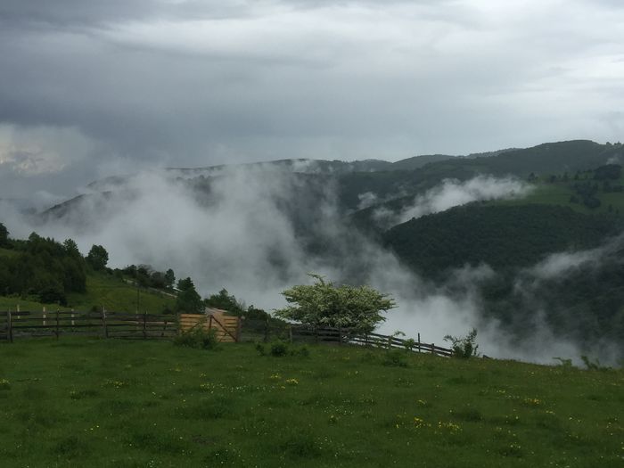 image - Natura-marisel-belis