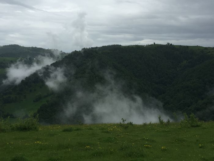 image - Natura-marisel-belis