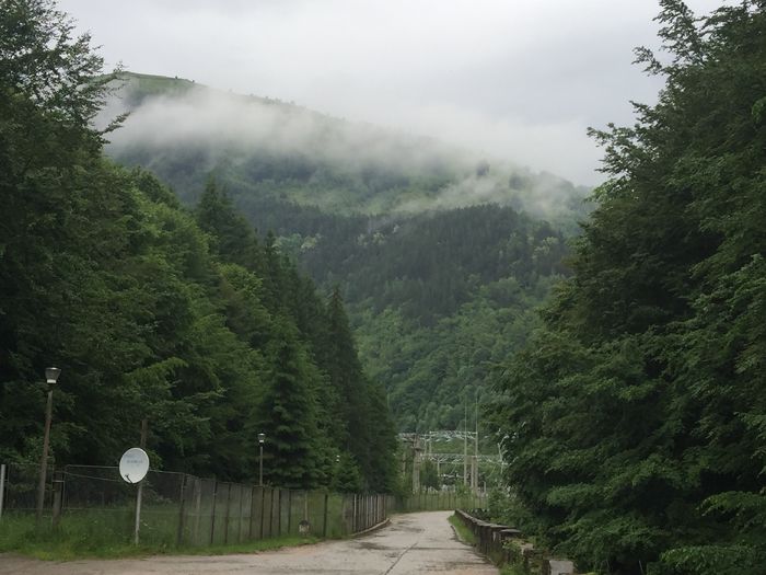 image - Natura-marisel-belis