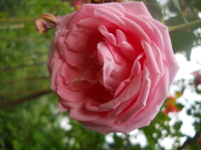 DSCN9422