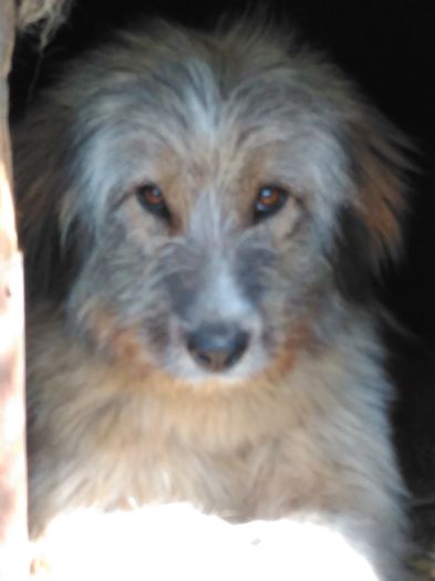 IMG_20160326_105618; Cora extraterestra !
