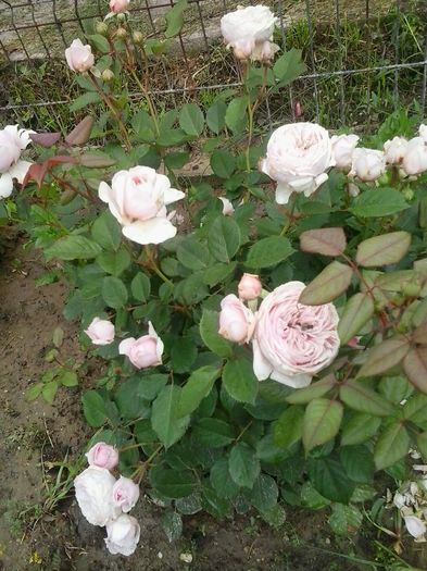 20160604_080336
