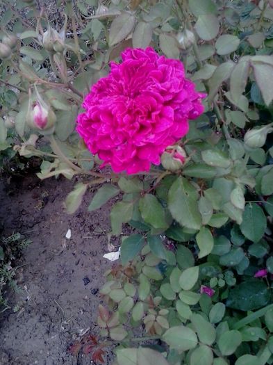 20160604_080349