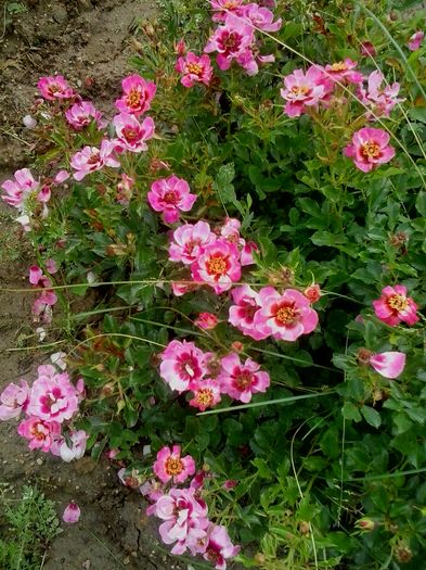 20160604_122510