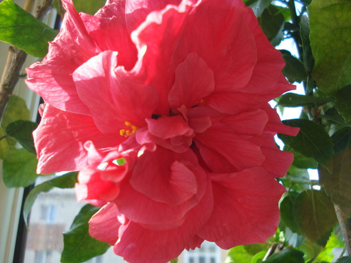 DSC05659