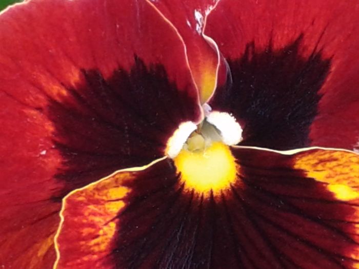 20160428_173707 - 2016