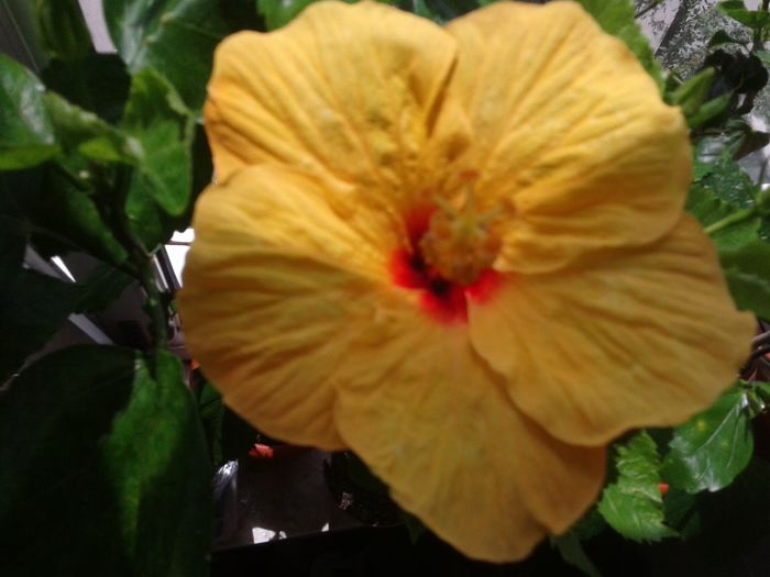 20160606_122910