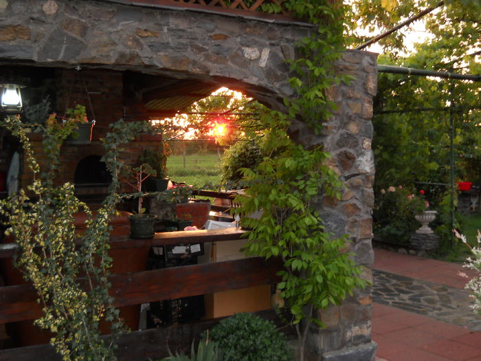 un rasarit de iunie - de prin jurul casei