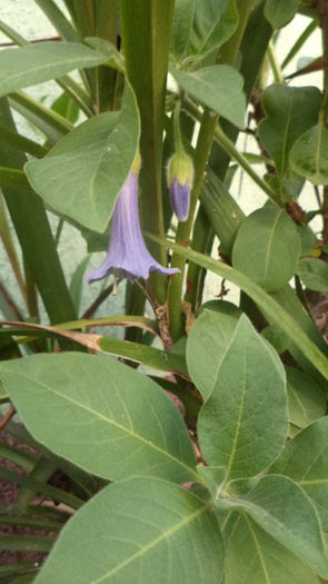 DSC05620