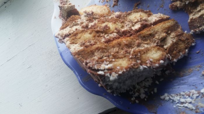 (felie)  tort cu pișcoturi și cremă de ness