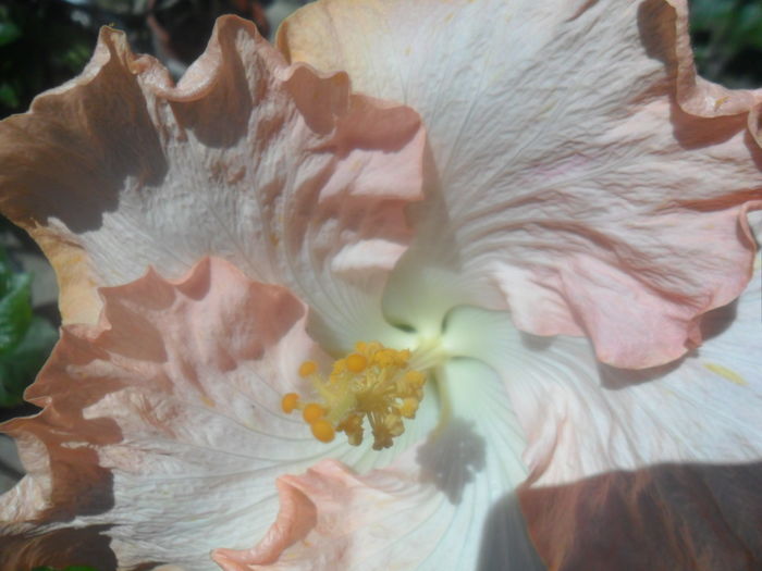 041